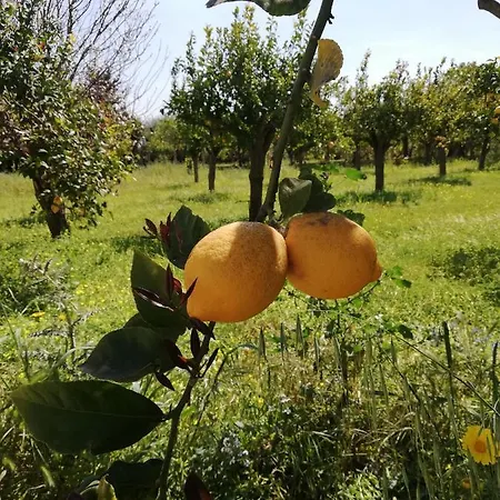 Сasa de vacaciones Casa Valentina Al Mare Noto